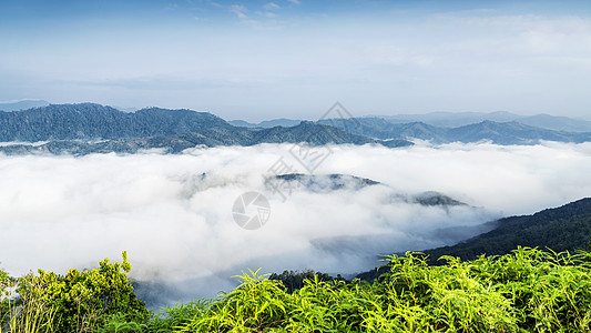 泰国南部山林山顶云海图片