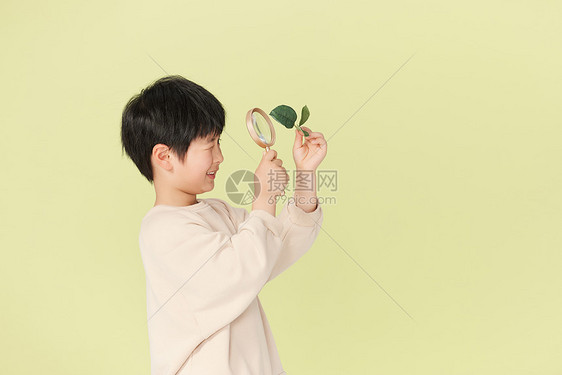观察植物的小男孩图片