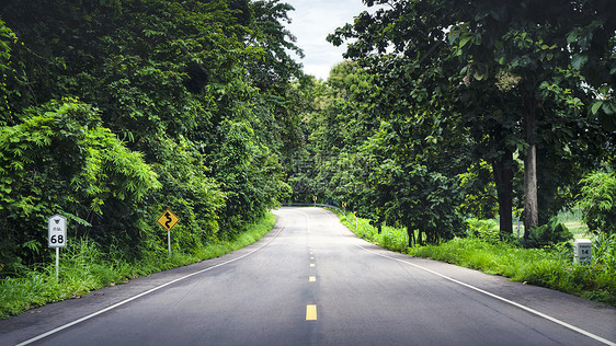 森林旅行道路公路图片