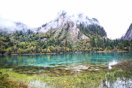 山水美景阿坝九寨沟五花海景区背景