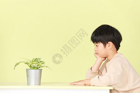 地球上的绿植面对植物思考的小男孩背景