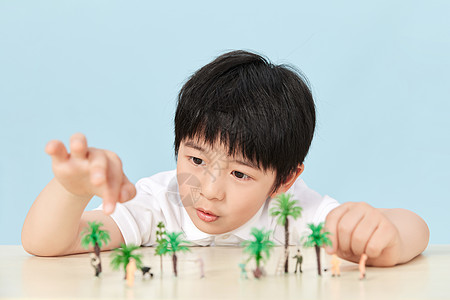 小男孩在观察微距植物模型图片