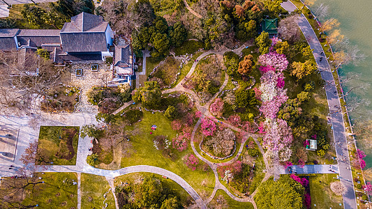 春天南京玄武湖梅花隧道航拍图片