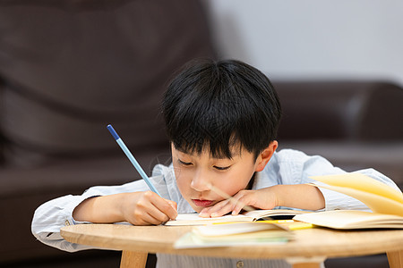 独自在家写作业的小男孩图片