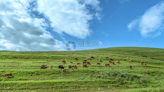 内蒙古辉腾锡勒草原春天景观图片