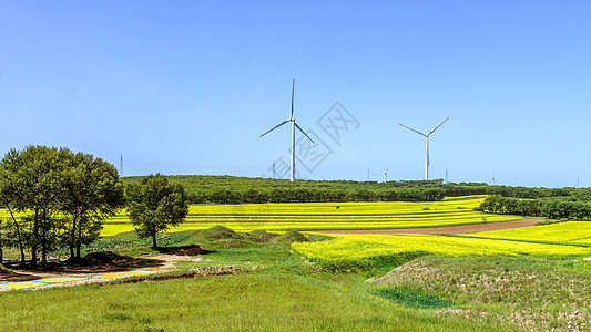 内蒙古农田夏季景观图片