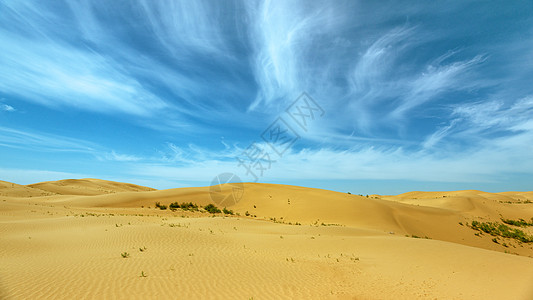 内蒙古库布其沙漠春季景观高清图片