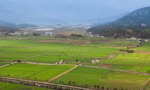 瑞安市桐浦田野风光背景图片