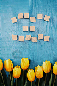蓝色木板上放的郁金香图片