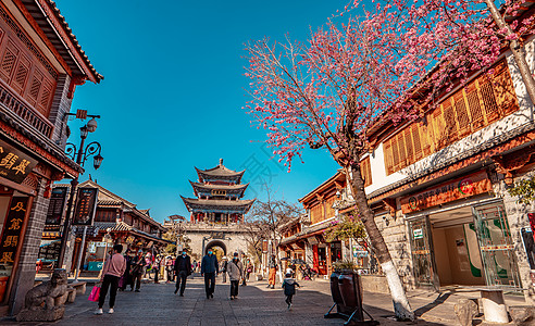 大理樱花拍摄于云南大理古城步行街背景