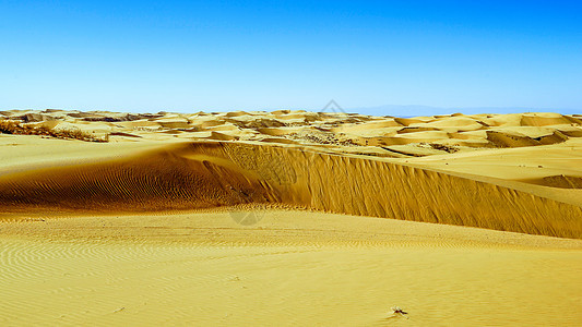 内蒙古库布其沙漠背景图片
