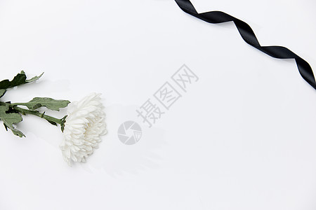 清明节静物白色菊花黑丝带图片