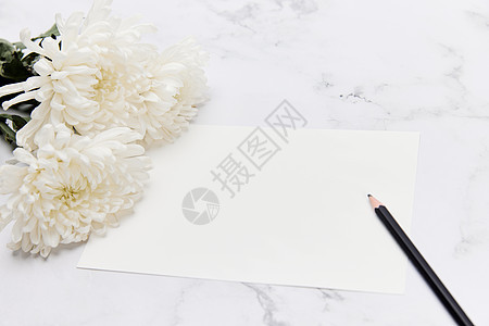 清明节静物白色菊花图片