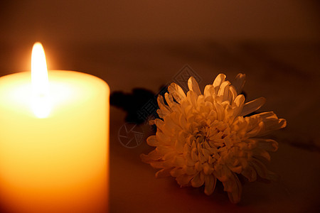 烛光下的白色菊花图片