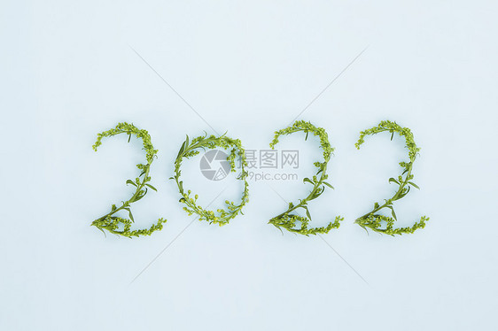 小草花枝摆成的数字年份2022图片