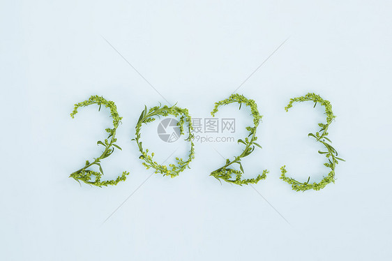 小草花枝摆成的数字2023图片