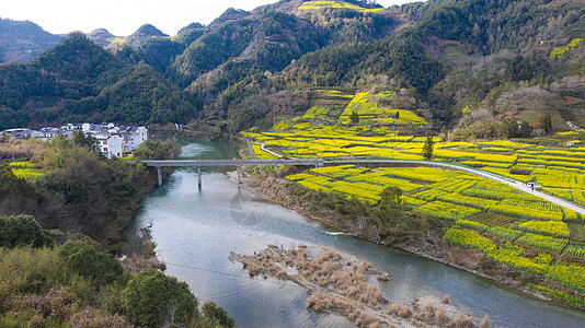 安徽歙县春季风光盛开的油菜花图片