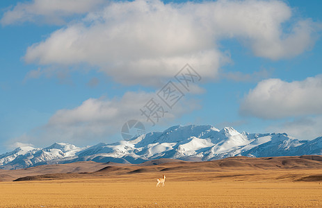 雪山新疆帕米尔高原背景