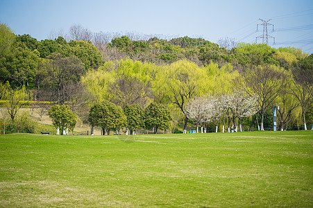 城市绿地背景图片