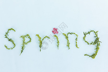 花草组成的英文单词春天图片