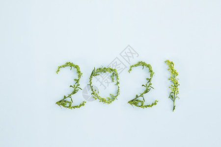 植物嫩芽摆成的数字2021背景图片
