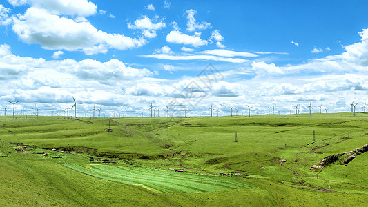 夏季草原内蒙古辉腾锡勒草原夏季风景背景