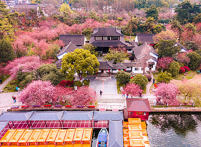 南京春天的莫愁湖公园海棠花航拍高清图片