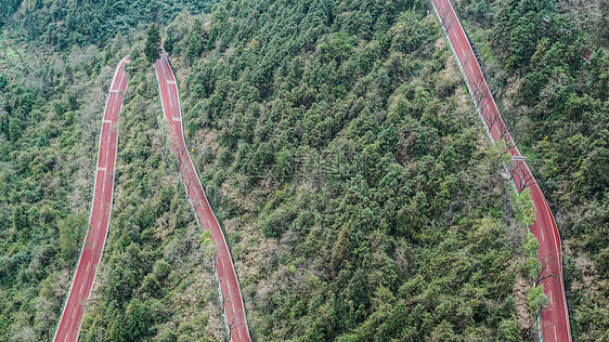 满山绿野的公路图片