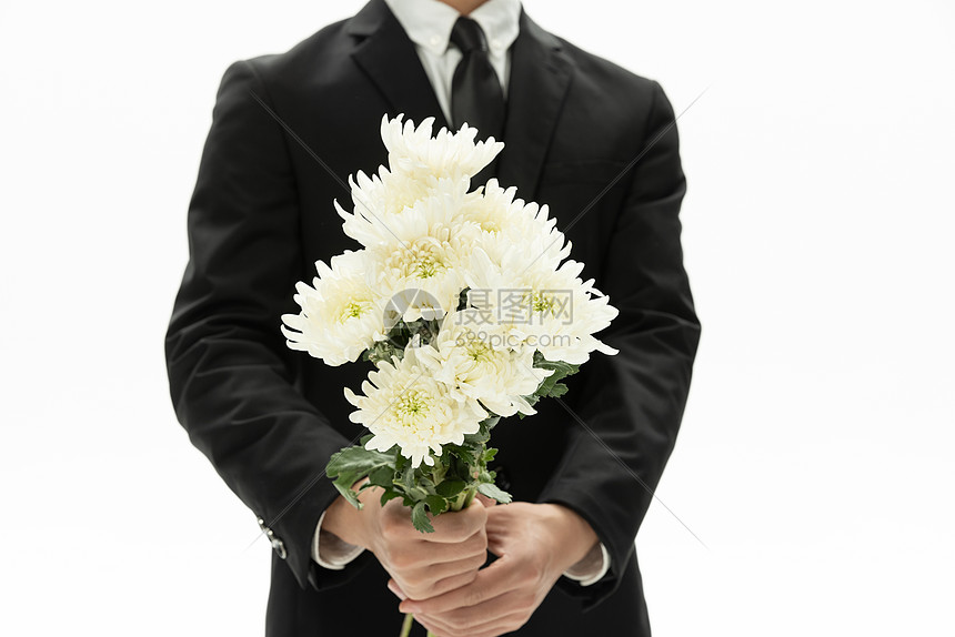 商务男性拿着白色菊花特写