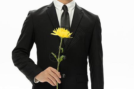 盛开的小菊花商务男性拿着黄色菊花特写背景
