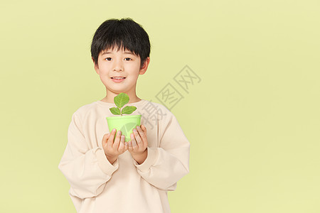 小男孩捧着一盆植物高清图片