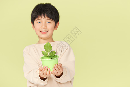 开心的捧着一盆植物的小男孩图片