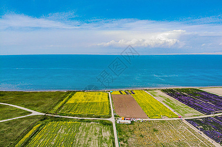 农业活动青海的青海湖畔风光背景