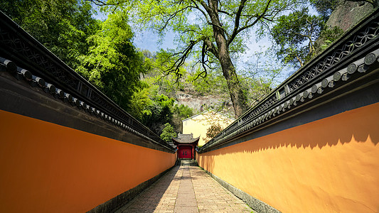 新昌大佛寺浙江新昌天台宗大佛寺宗教长廊背景