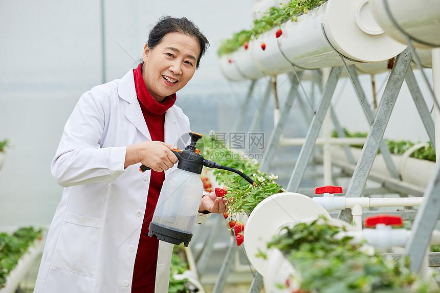 手拿水壶浇水的农业科研专家图片