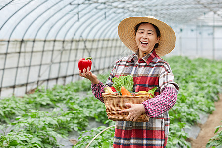 农民大婶拿着彩椒丰收喜悦背景