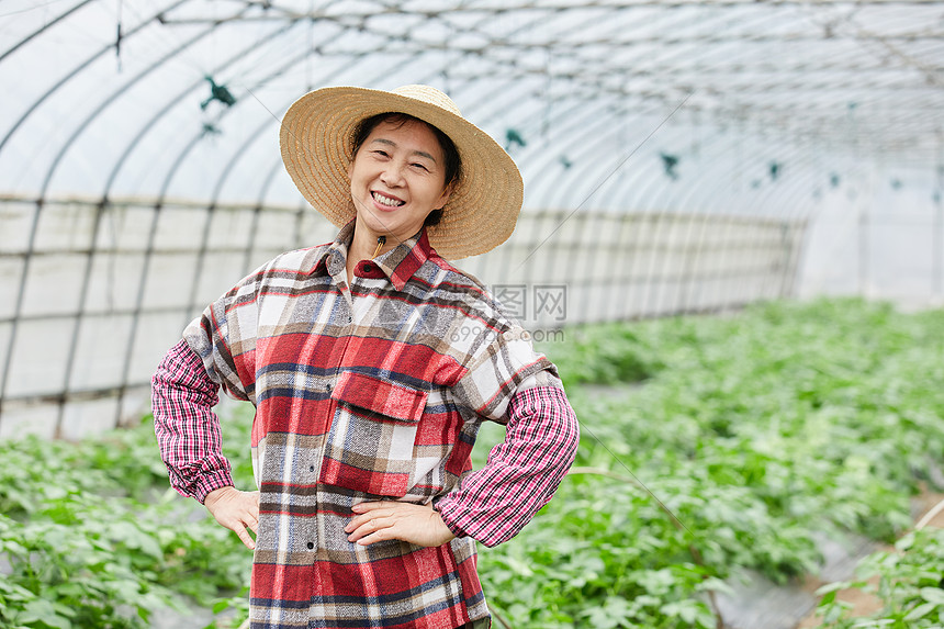 农民蔬菜大棚劳作形象图片