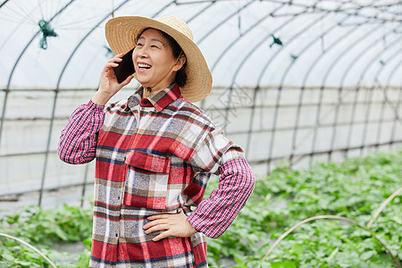 在蔬菜大棚打电话的农民图片