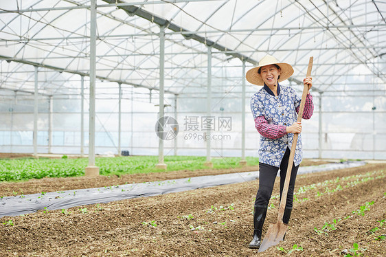 蔬菜大棚耕种的农民图片