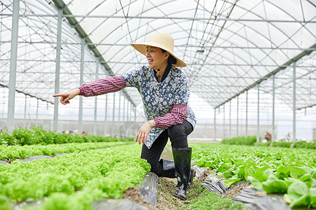 农民蔬菜大棚劳作形象图片