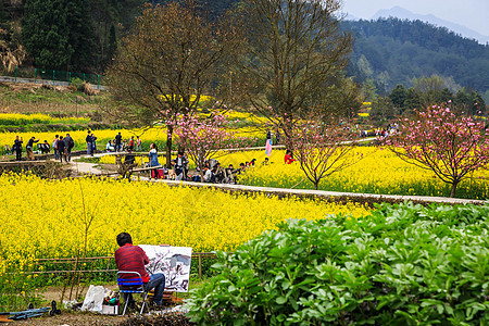 安徽西递古村落油菜花背景图片