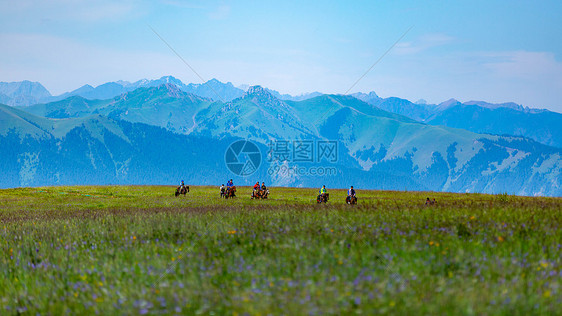新疆伊犁喀拉峻草原图片