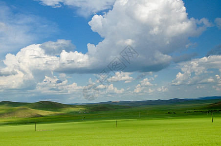 内蒙古海拉尔呼伦贝尔大草原风景背景