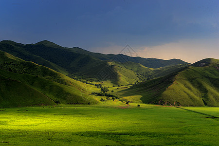 内蒙古海拉尔呼伦贝尔大草原风景背景