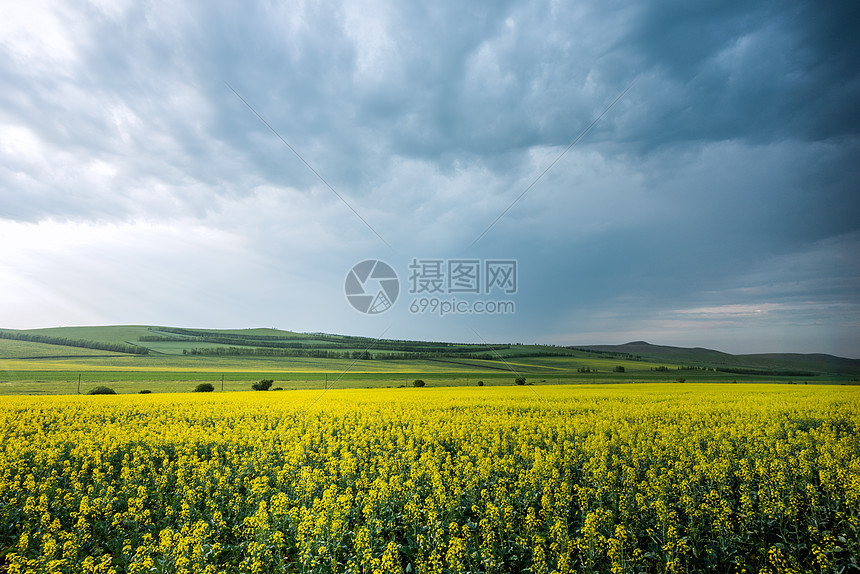 呼伦贝尔大草原风景图片