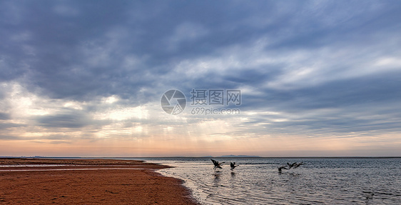 大连海岸风光图片