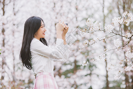 粉色摩天轮美女大学生逛游公园赏樱花背景