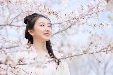 古风汉服樱花美女赏花图片