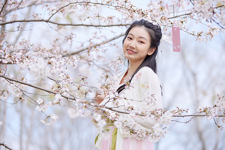 古风汉服樱花美女赏花图片