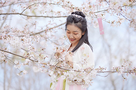 古风汉服樱花美女赏花高清图片